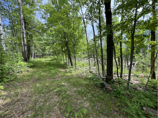 13384 Sorenson Lake Road, Merrifield, MN 56465