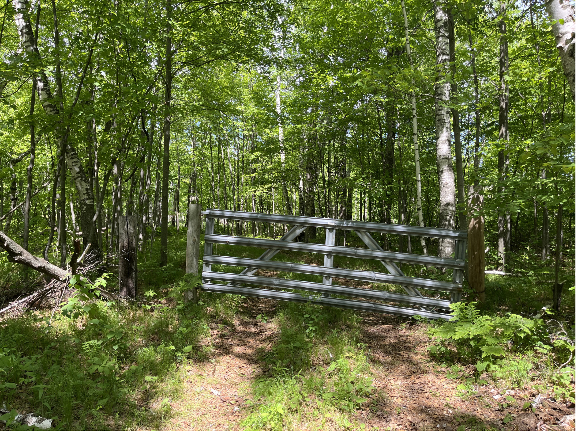 Front gate marking the entrance to the property