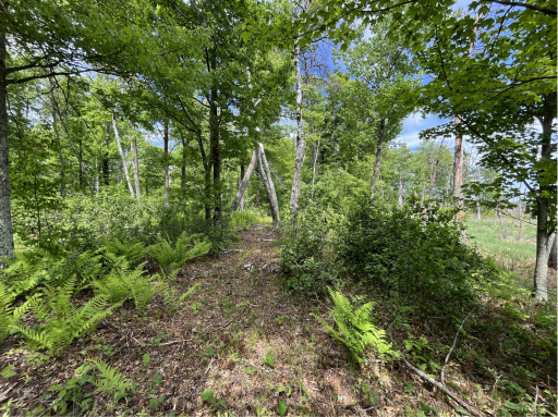 13384 Sorenson Lake Road, Merrifield, MN 56465