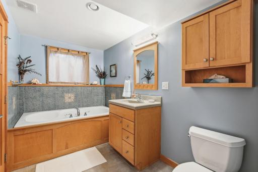 1400 Lia Dr Lower level bathroom with Jetted jub