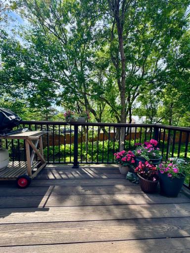 Enjoy private nature views on the maintenance free deck.