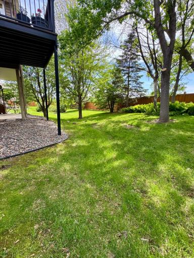Private back yard!