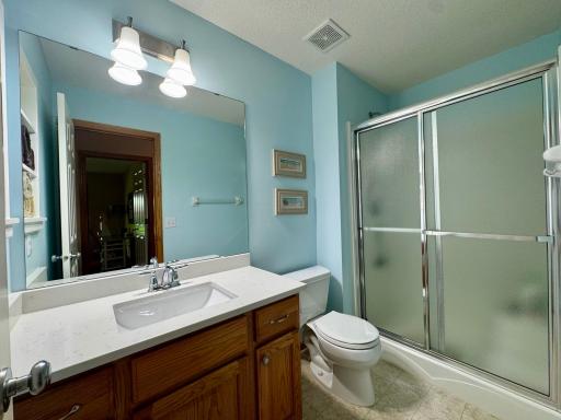 Lower level bathroom with new quartz counter top and faucet.jpg