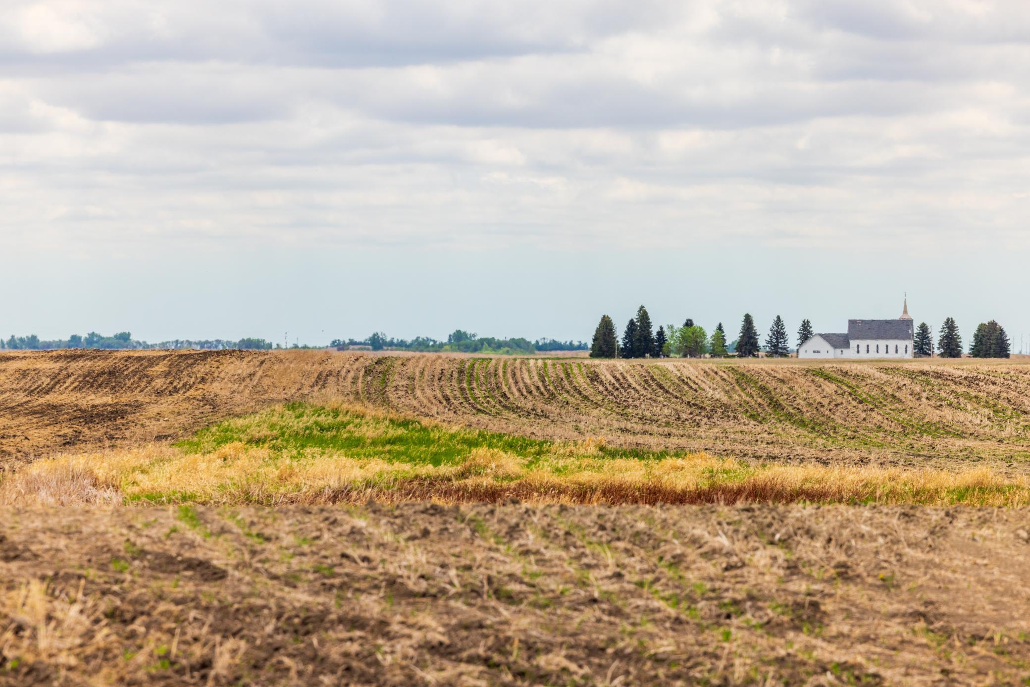 Amdak__Carbury 108+- Acres_0010.jpg