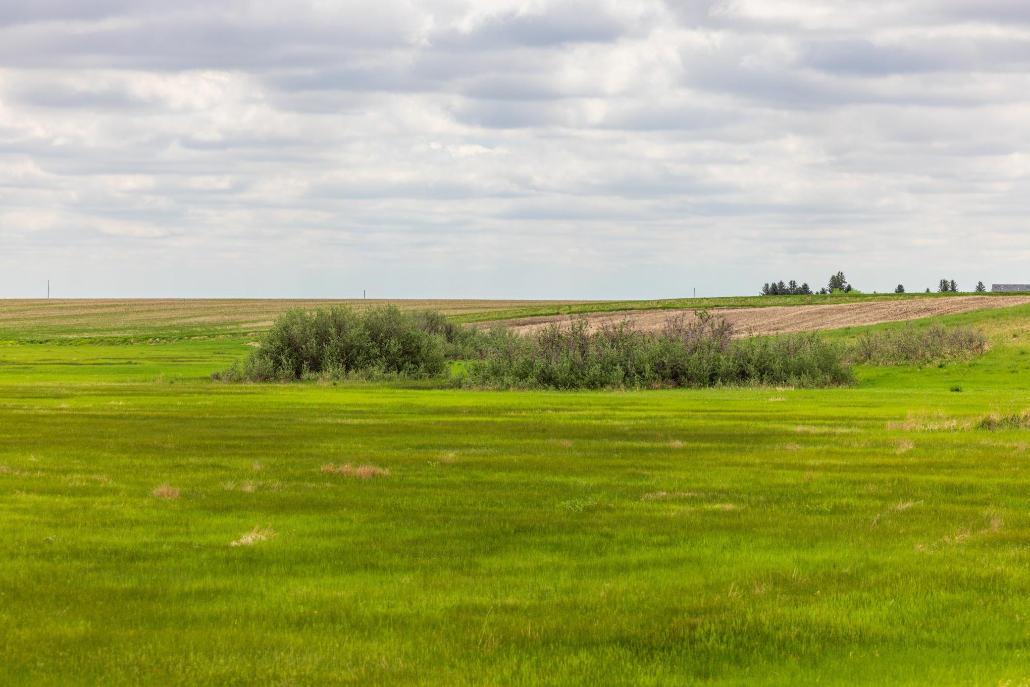 Amdak__Carbury 108+- Acres_0015.jpg