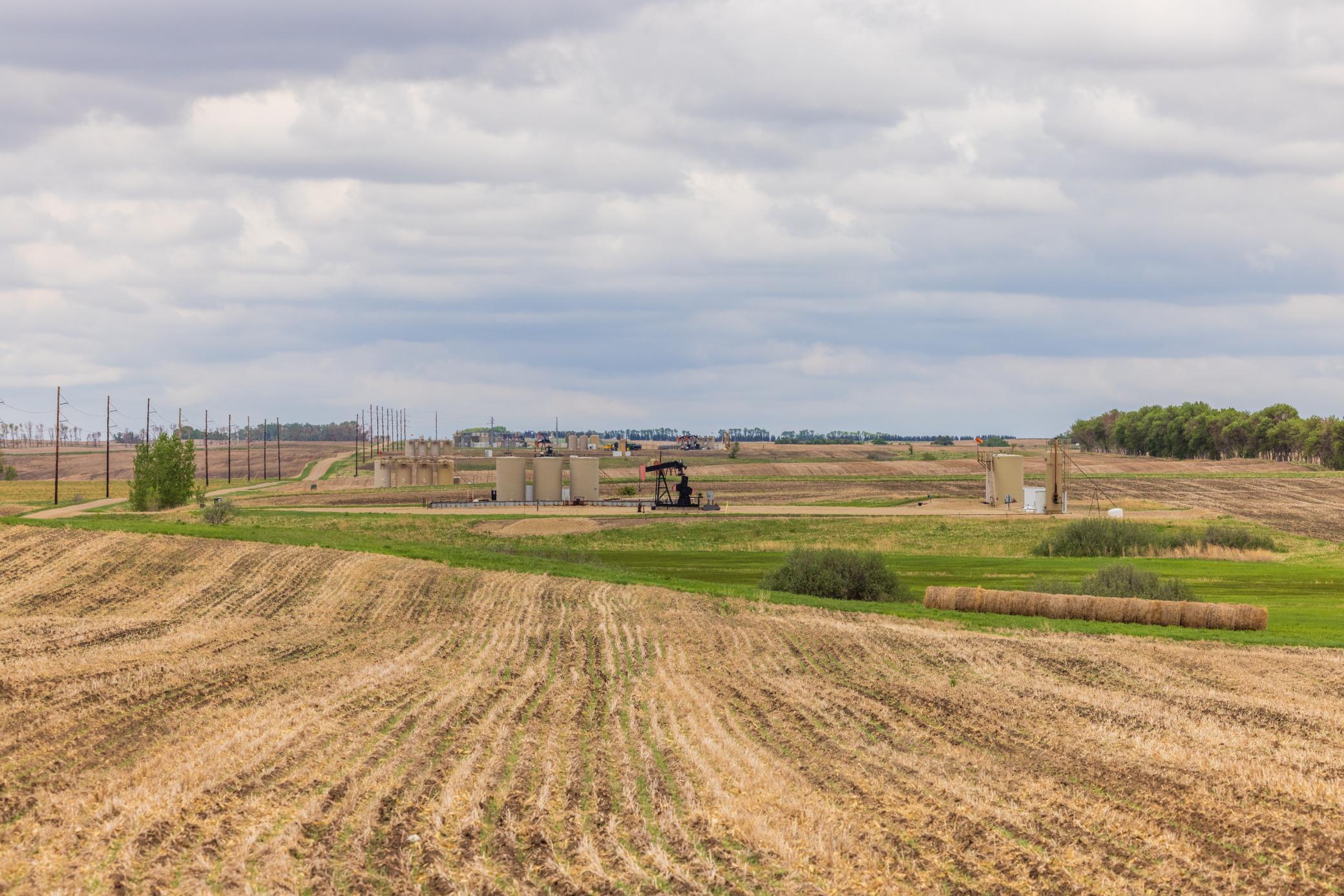 Amdak__Carbury 108+- Acres_0028.jpg