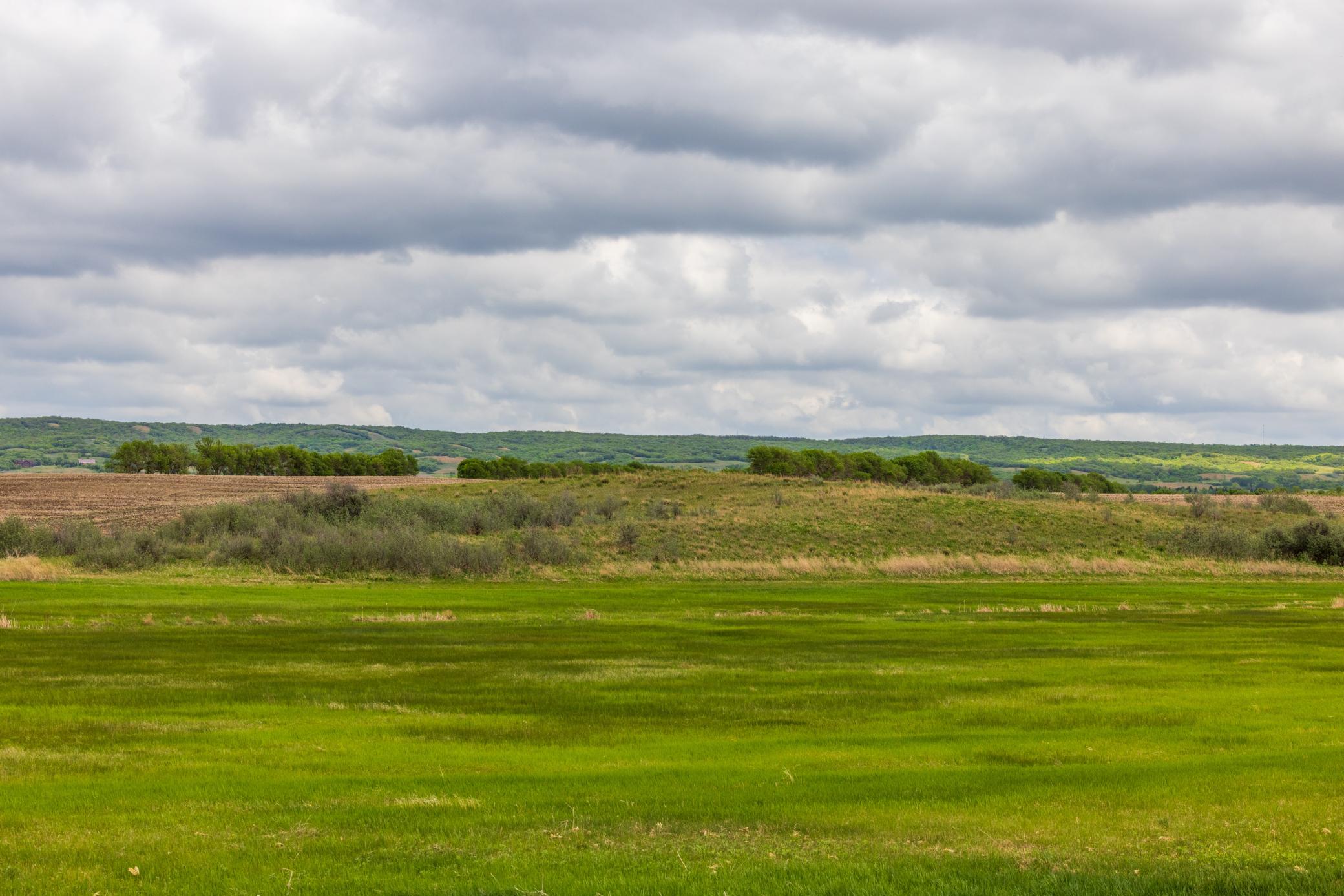 Amdak__Carbury 108+- Acres_0022.jpg