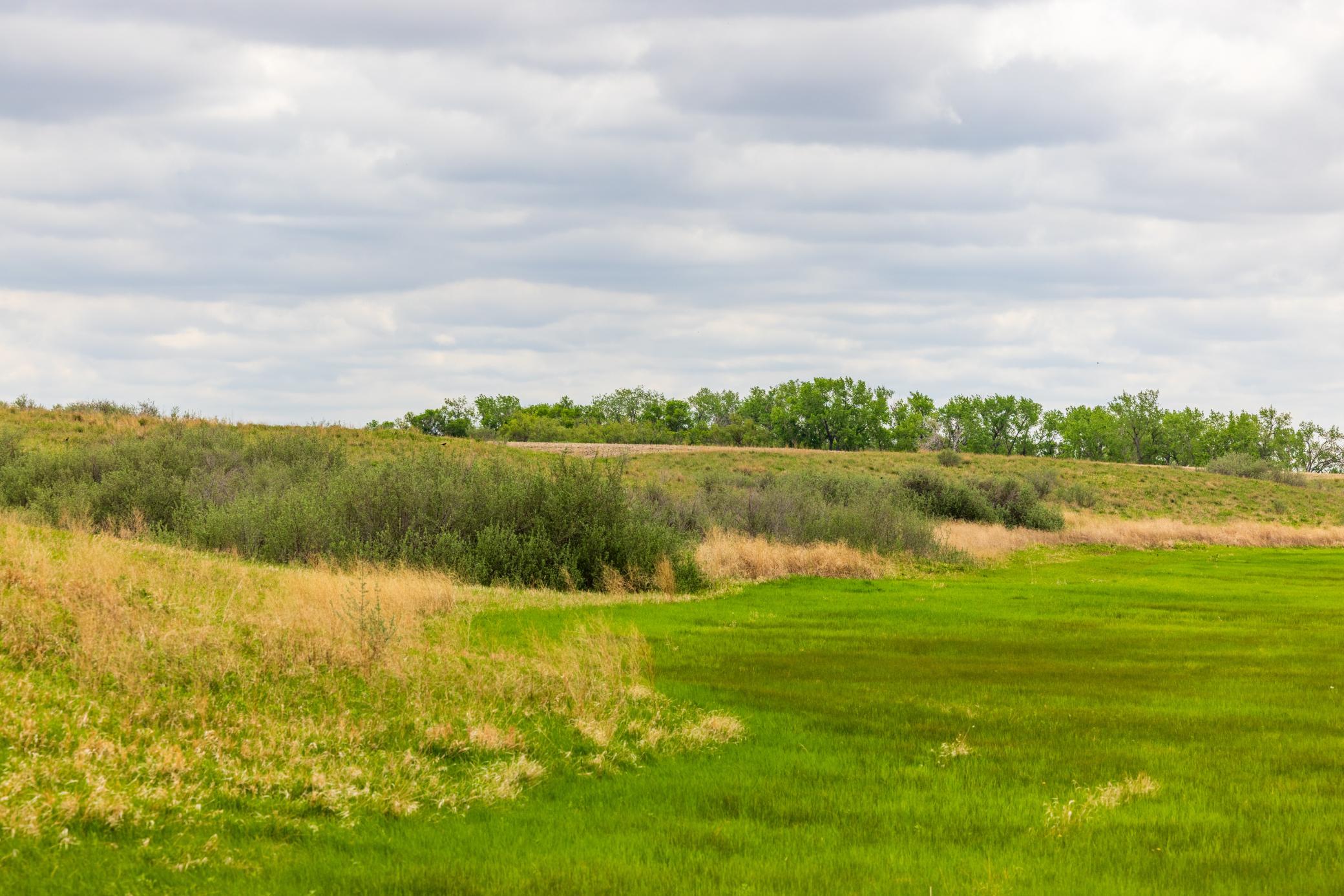 Amdak__Carbury 108+- Acres_0012.jpg