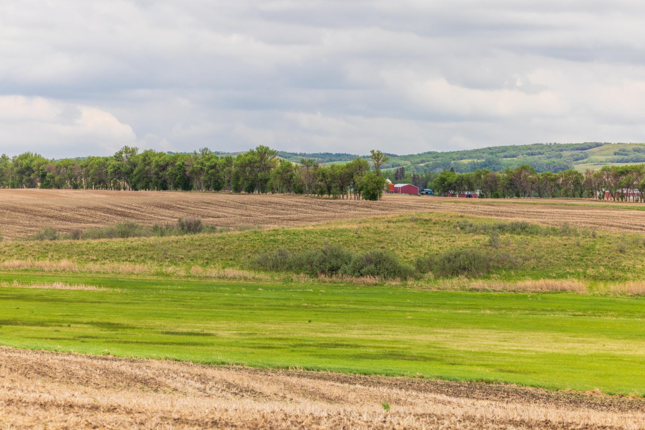 Amdak__Carbury 108+- Acres_0029.jpg
