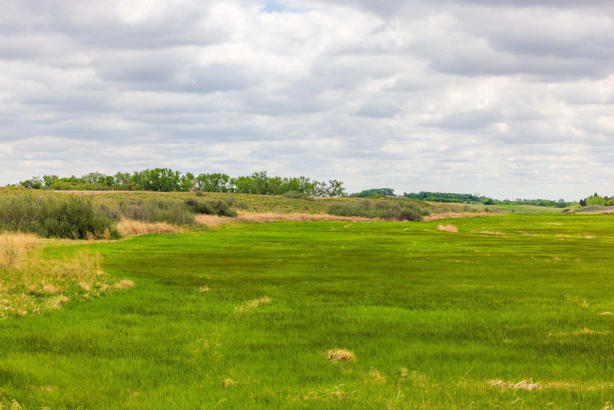Amdak__Carbury 108+- Acres_0014.jpg