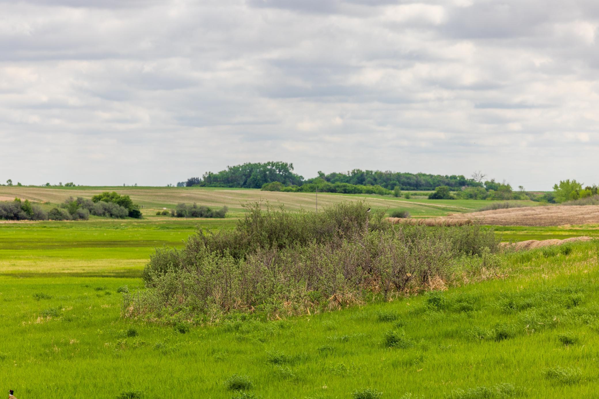Amdak__Carbury 108+- Acres_0021.jpg