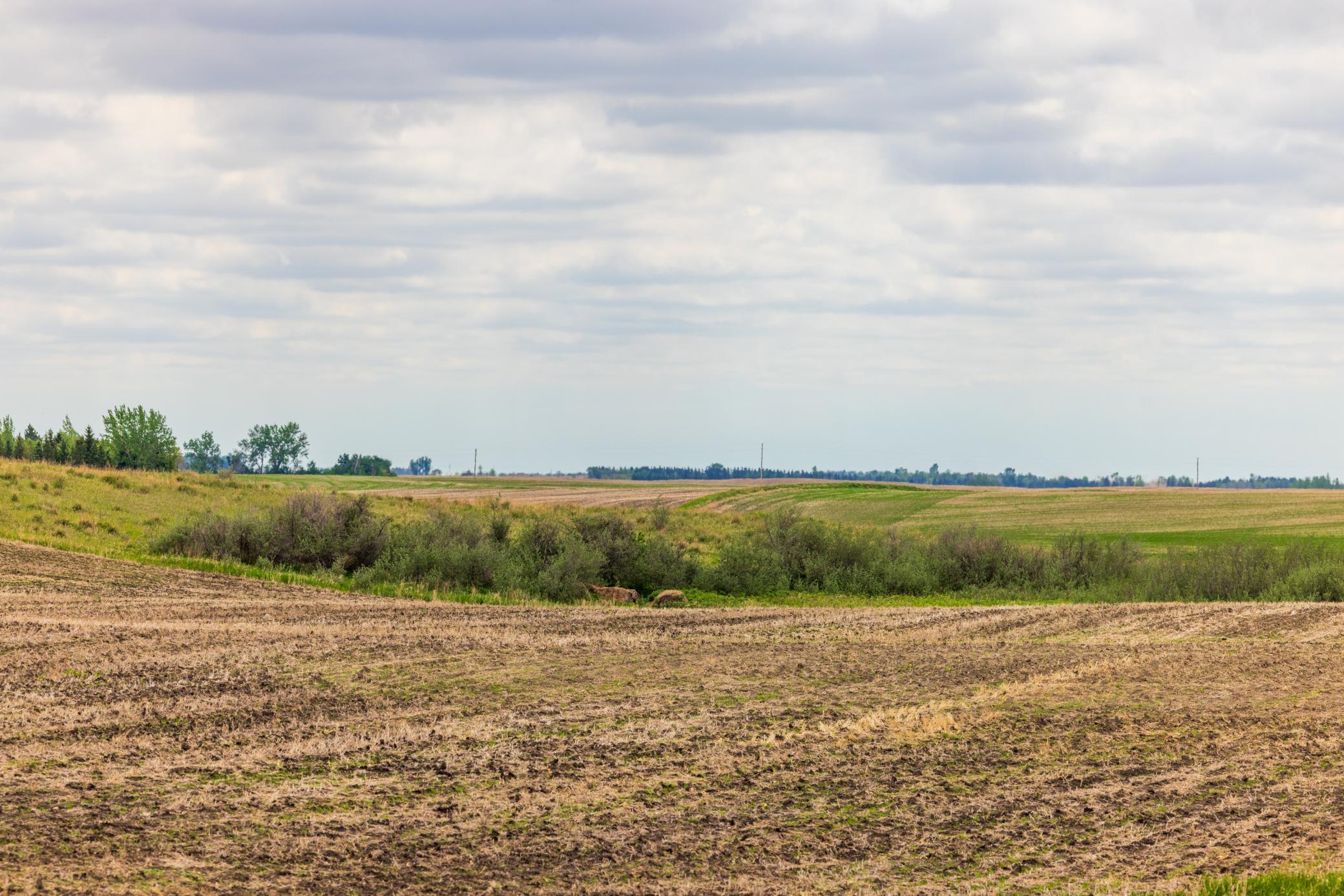 Amdak__Carbury 108+- Acres_0005.jpg