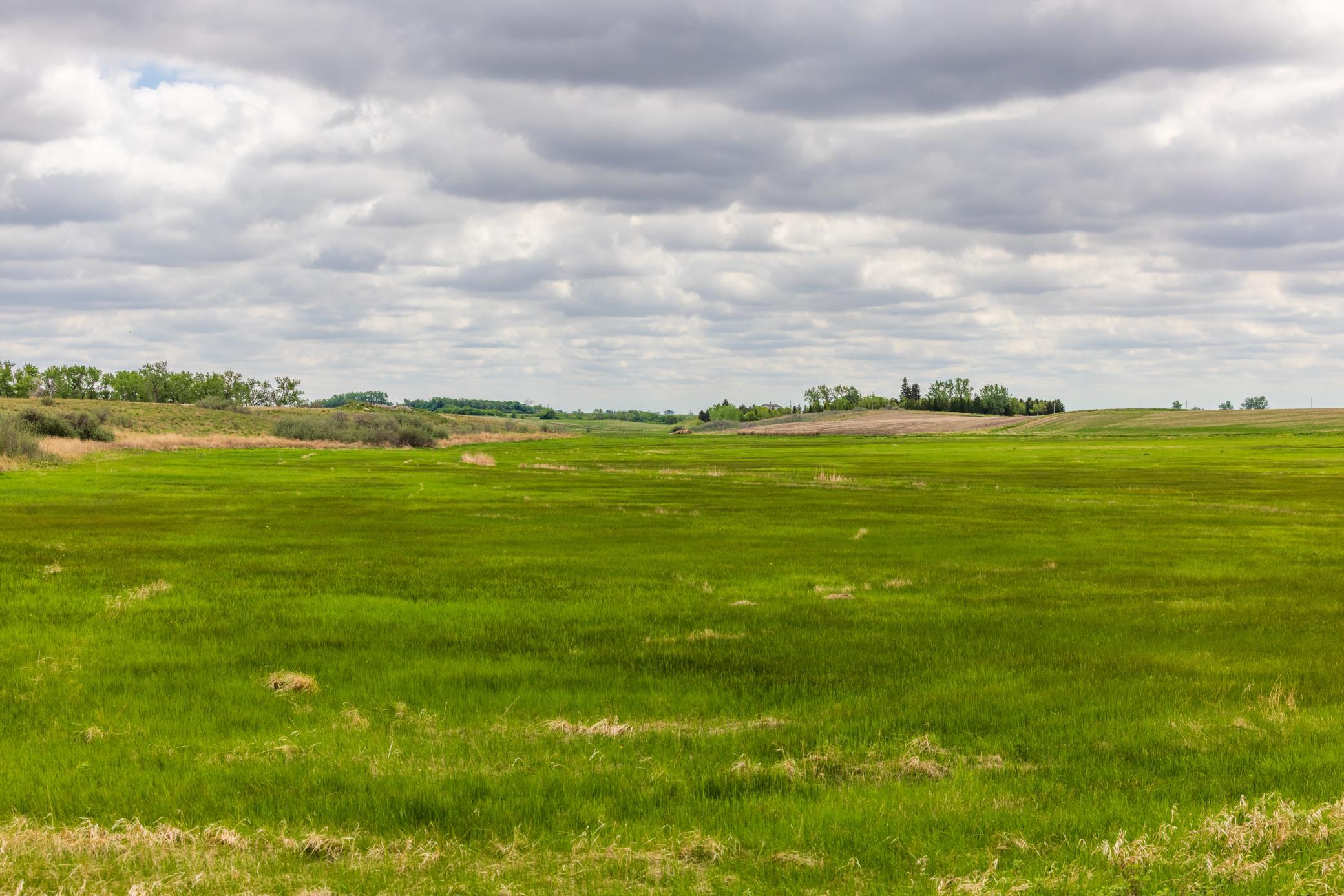 Amdak__Carbury 108+- Acres_0016.jpg