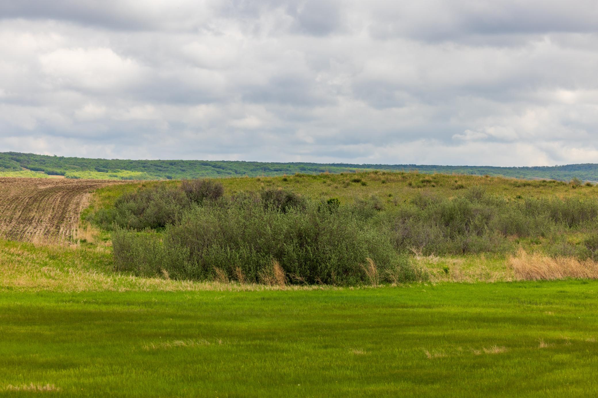 Amdak__Carbury 108+- Acres_0018.jpg