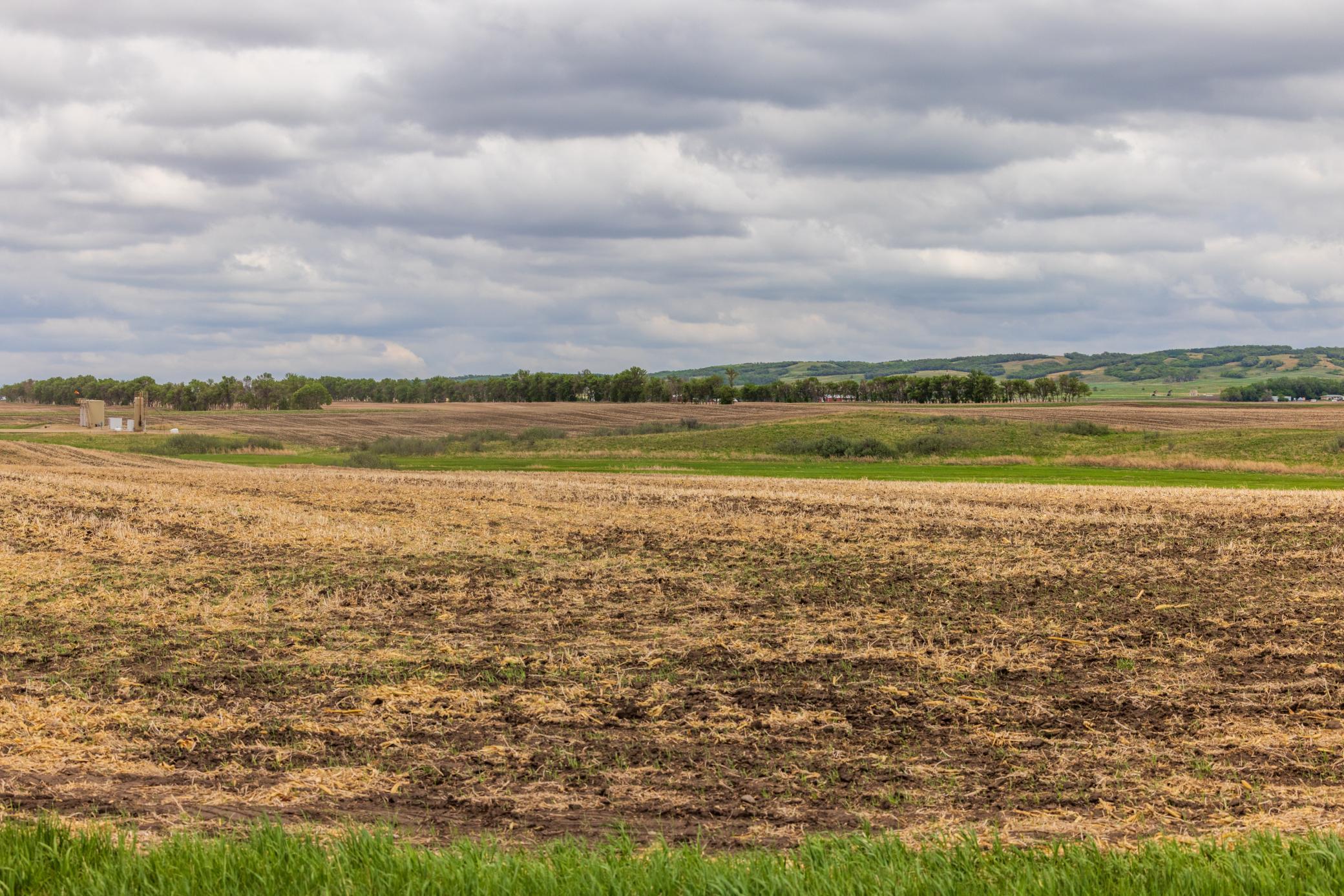 Amdak__Carbury 108+- Acres_0027.jpg