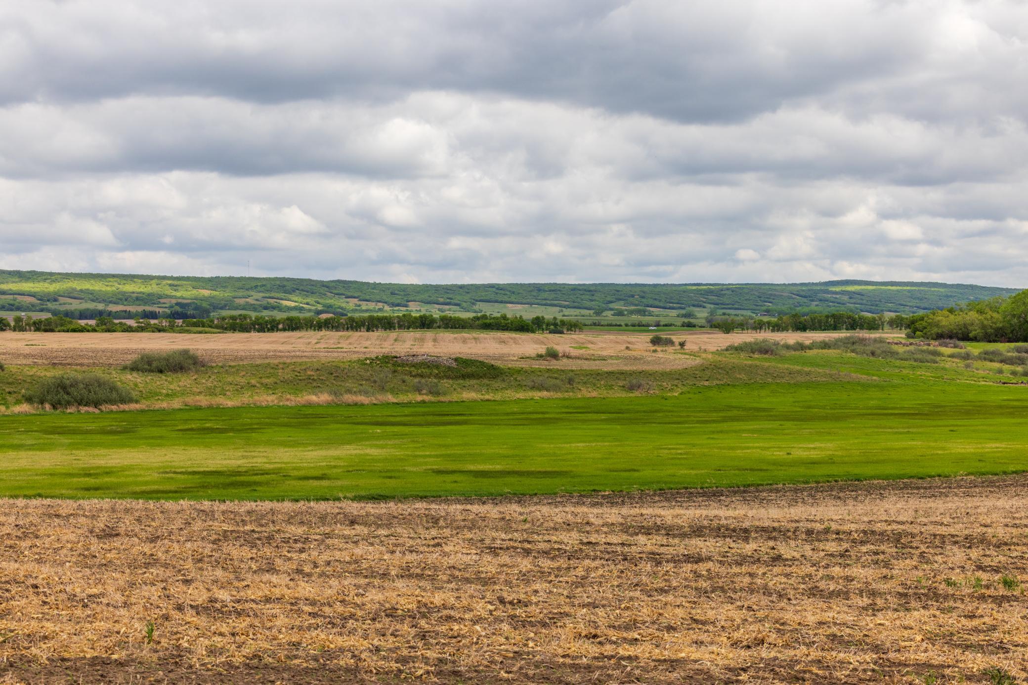 Amdak__Carbury 108+- Acres_0023.jpg