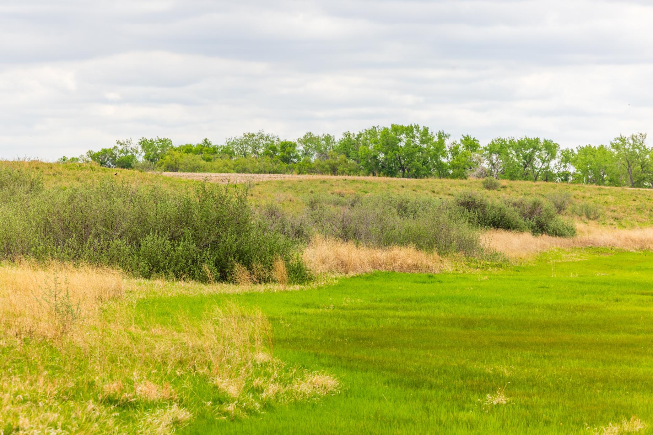 Amdak__Carbury 108+- Acres_0013.jpg