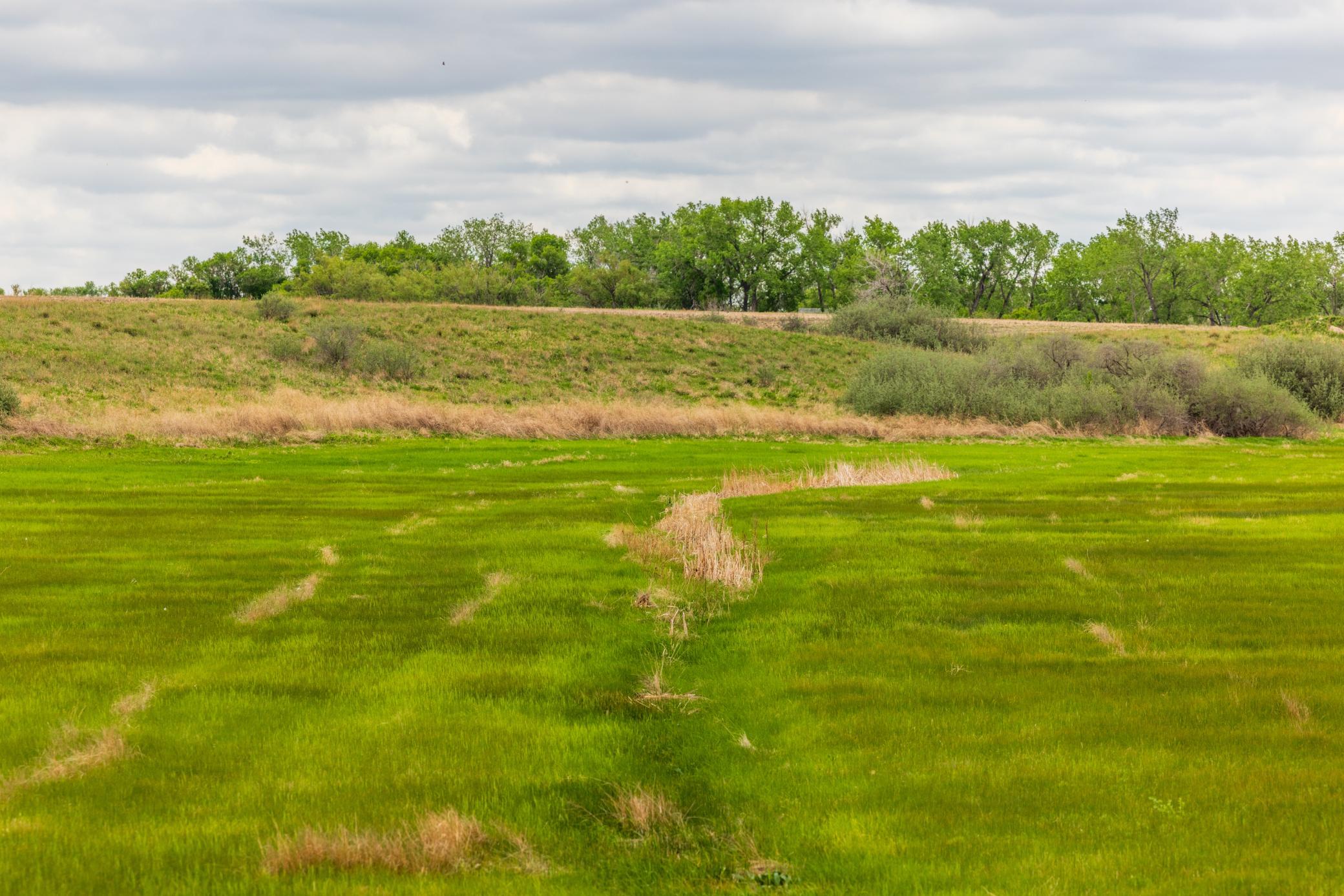 Amdak__Carbury 108+- Acres_0017.jpg