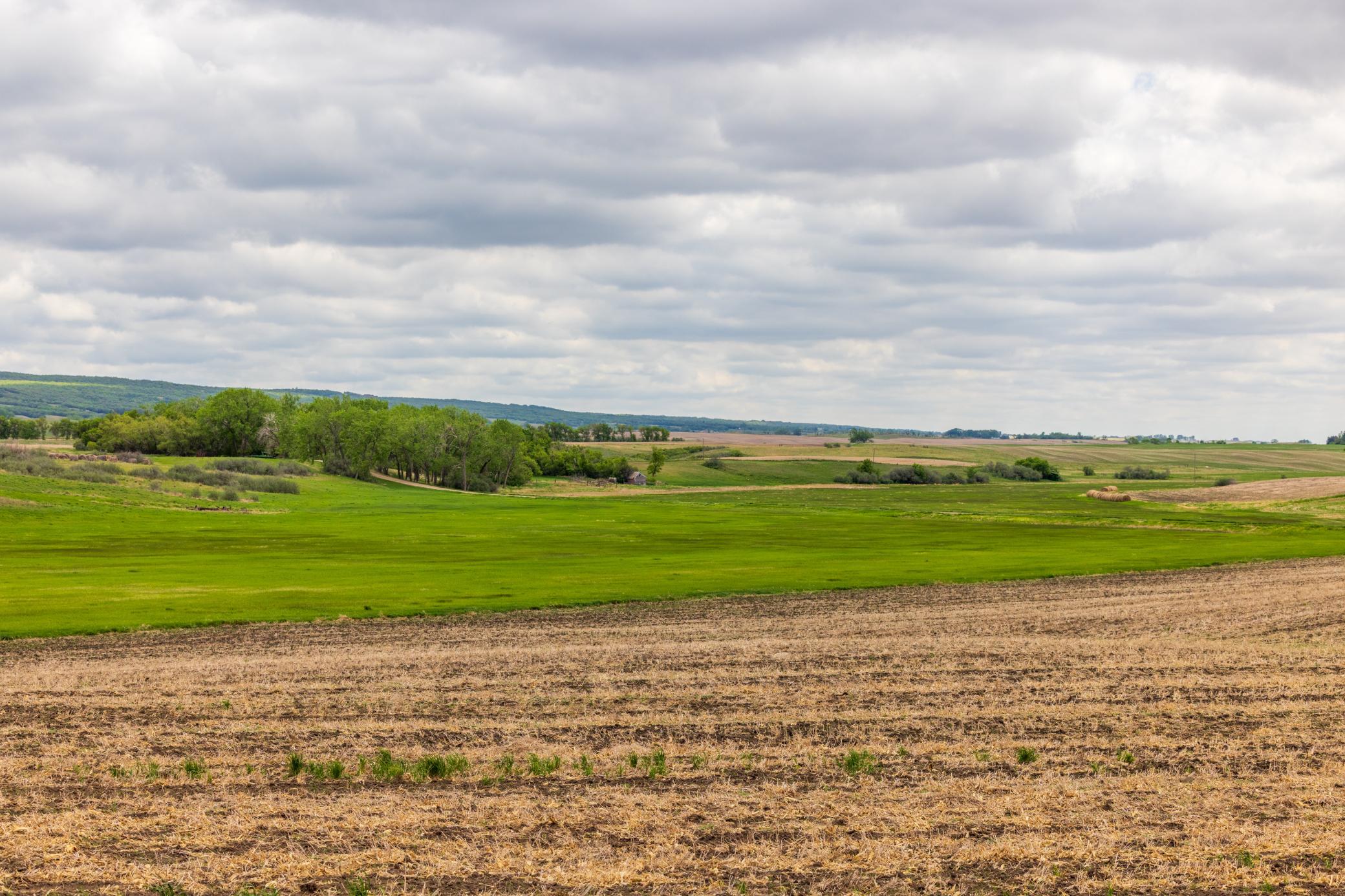 Amdak__Carbury 108+- Acres_0024.jpg