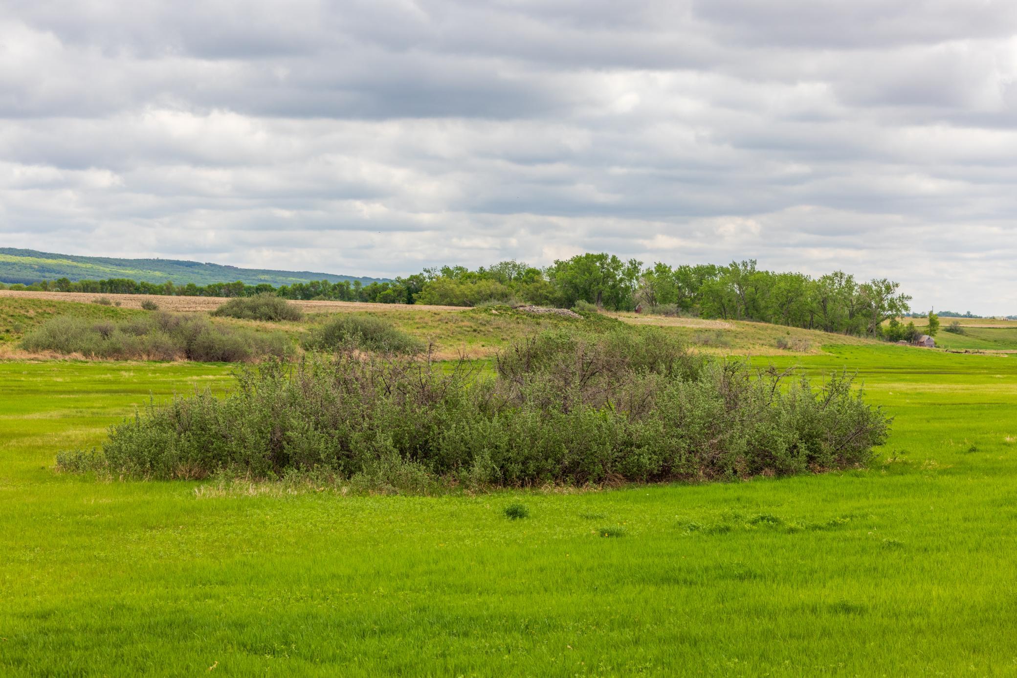 Amdak__Carbury 108+- Acres_0020.jpg