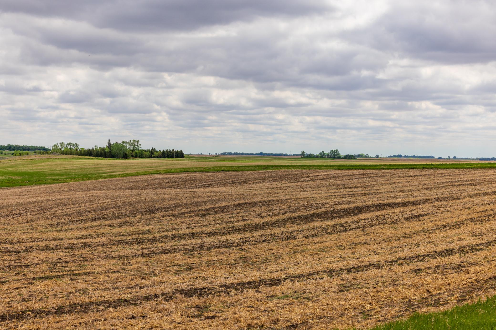 Amdak__Carbury 108+- Acres_0026.jpg
