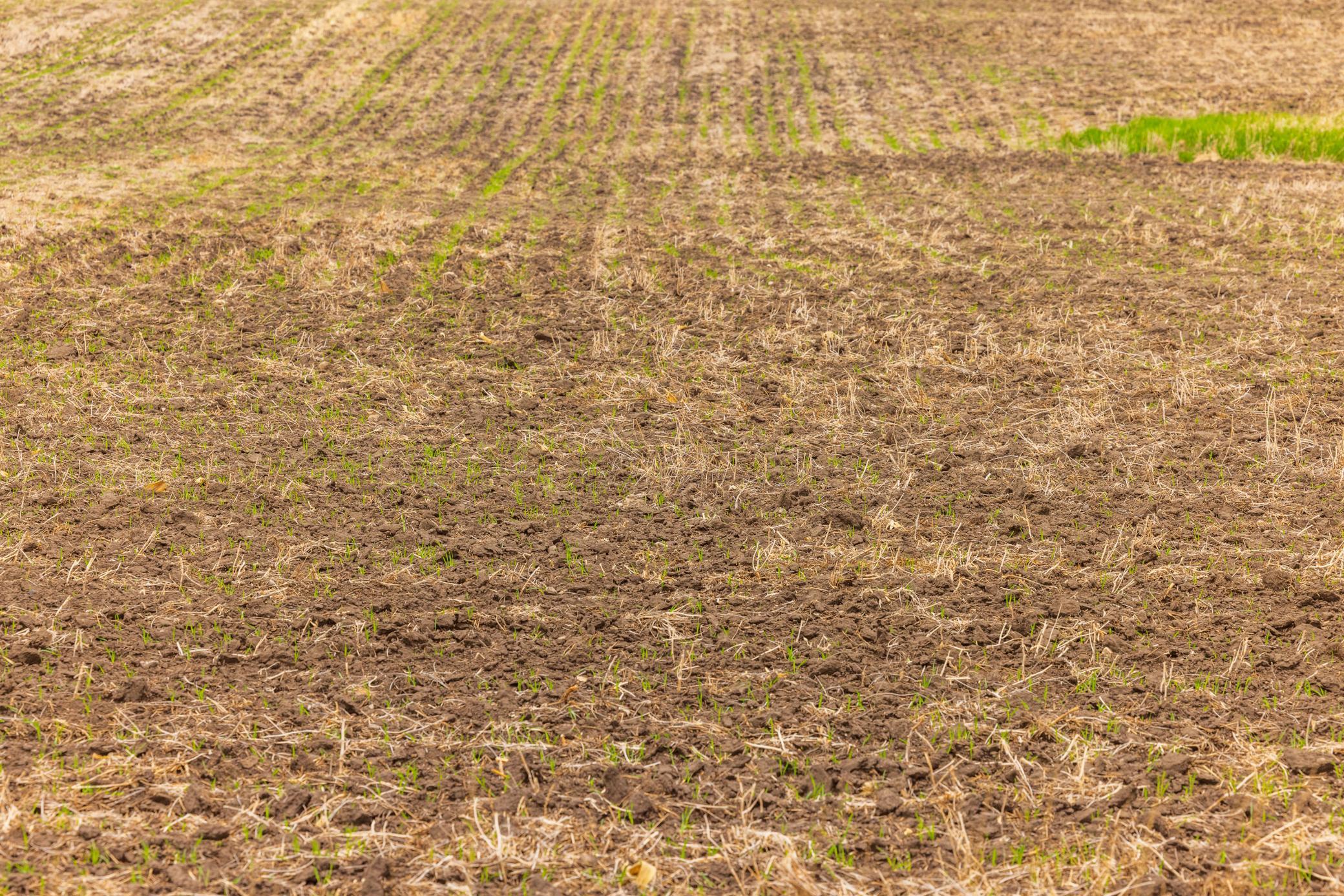 Amdak__Carbury 108+- Acres_0009.jpg