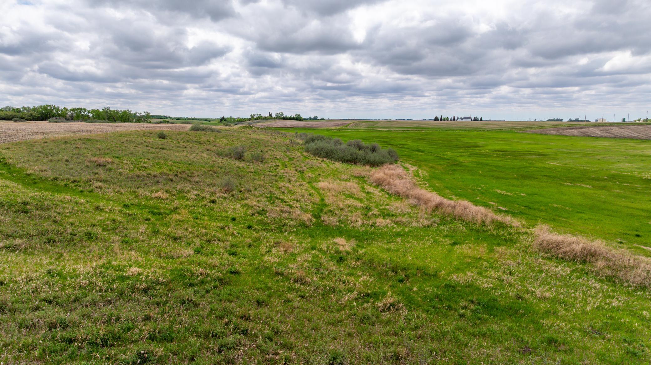 Amdak__Carbury 108+- Acres_0053.jpg