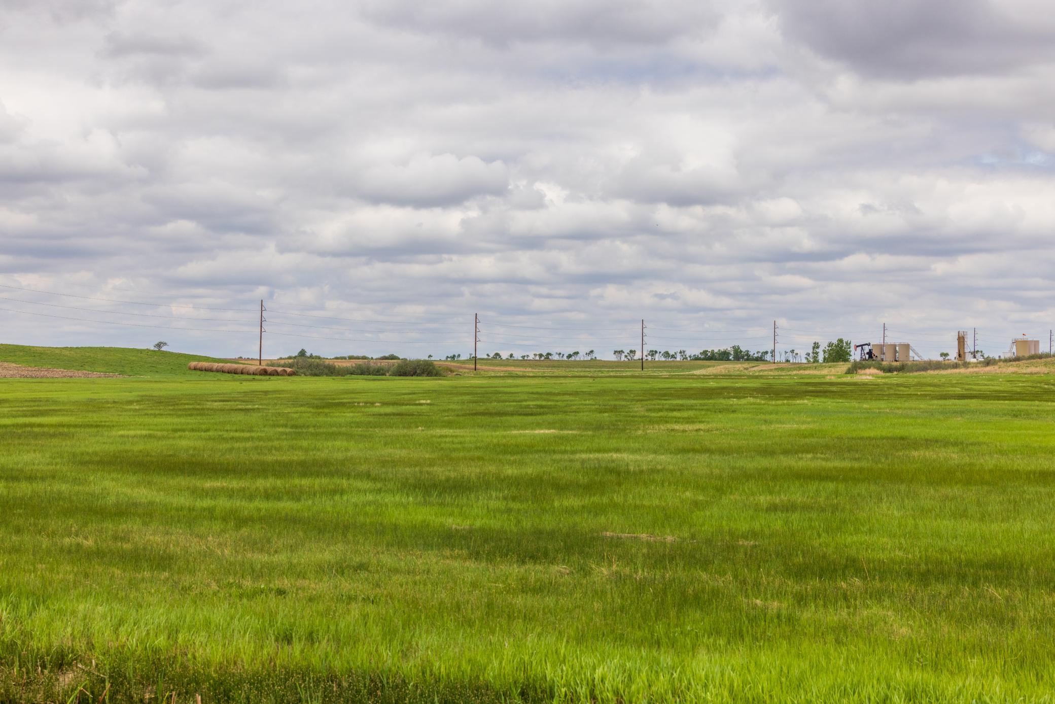 Amdak__Carbury 108+- Acres_0031.jpg
