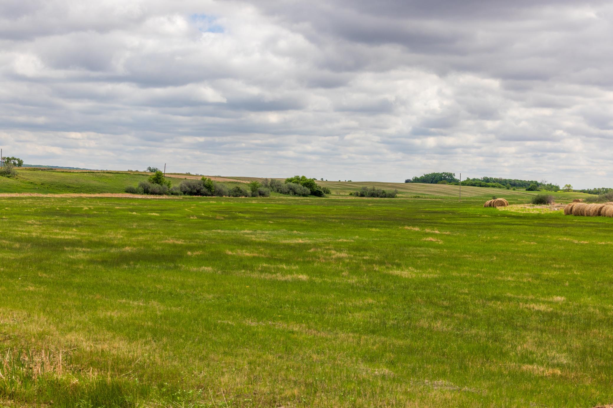 Amdak__Carbury 108+- Acres_0035.jpg