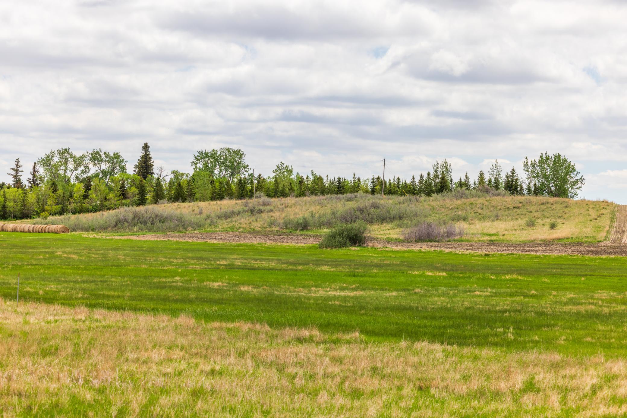 Amdak__Carbury 108+- Acres_0044.jpg