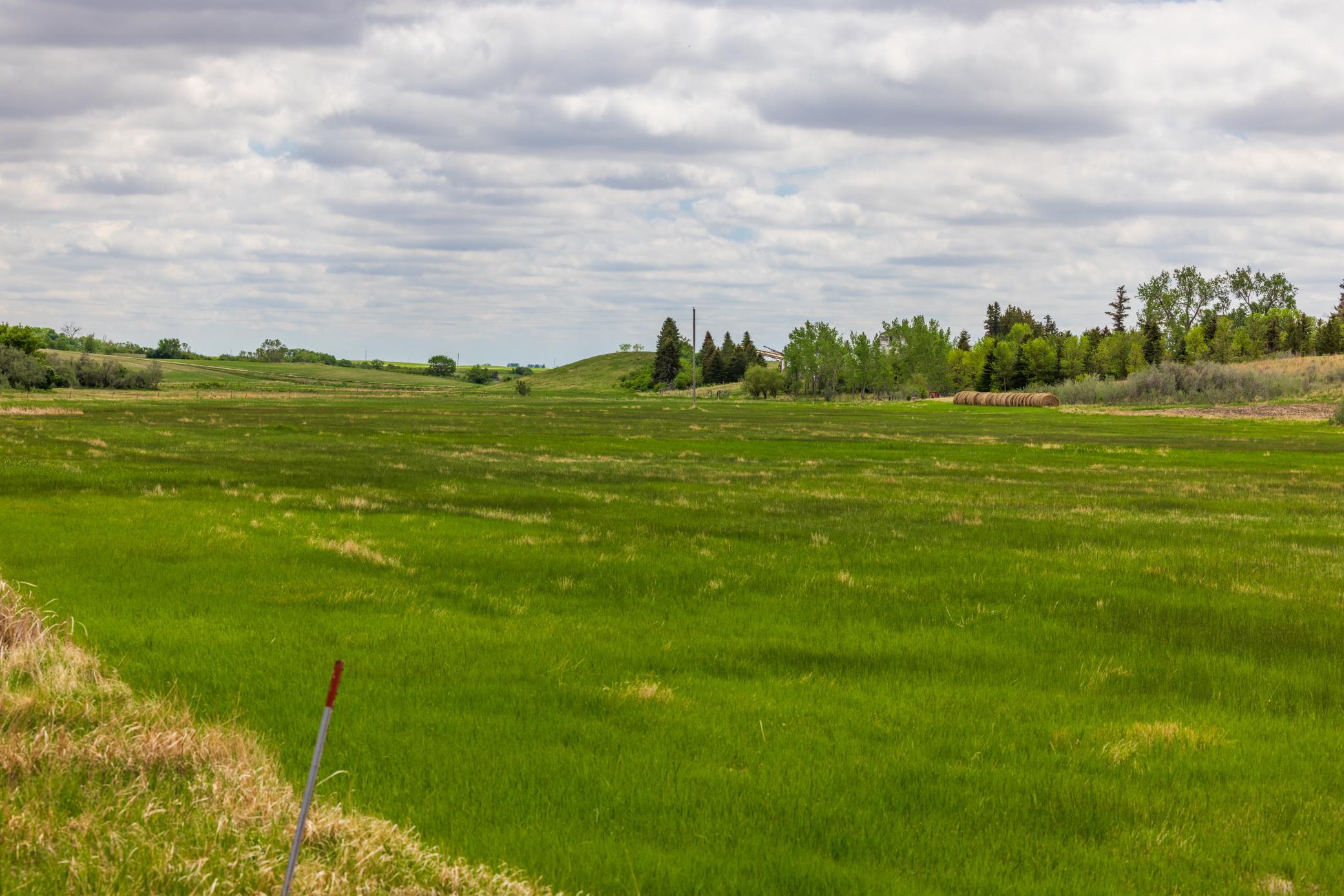 Amdak__Carbury 108+- Acres_0042.jpg