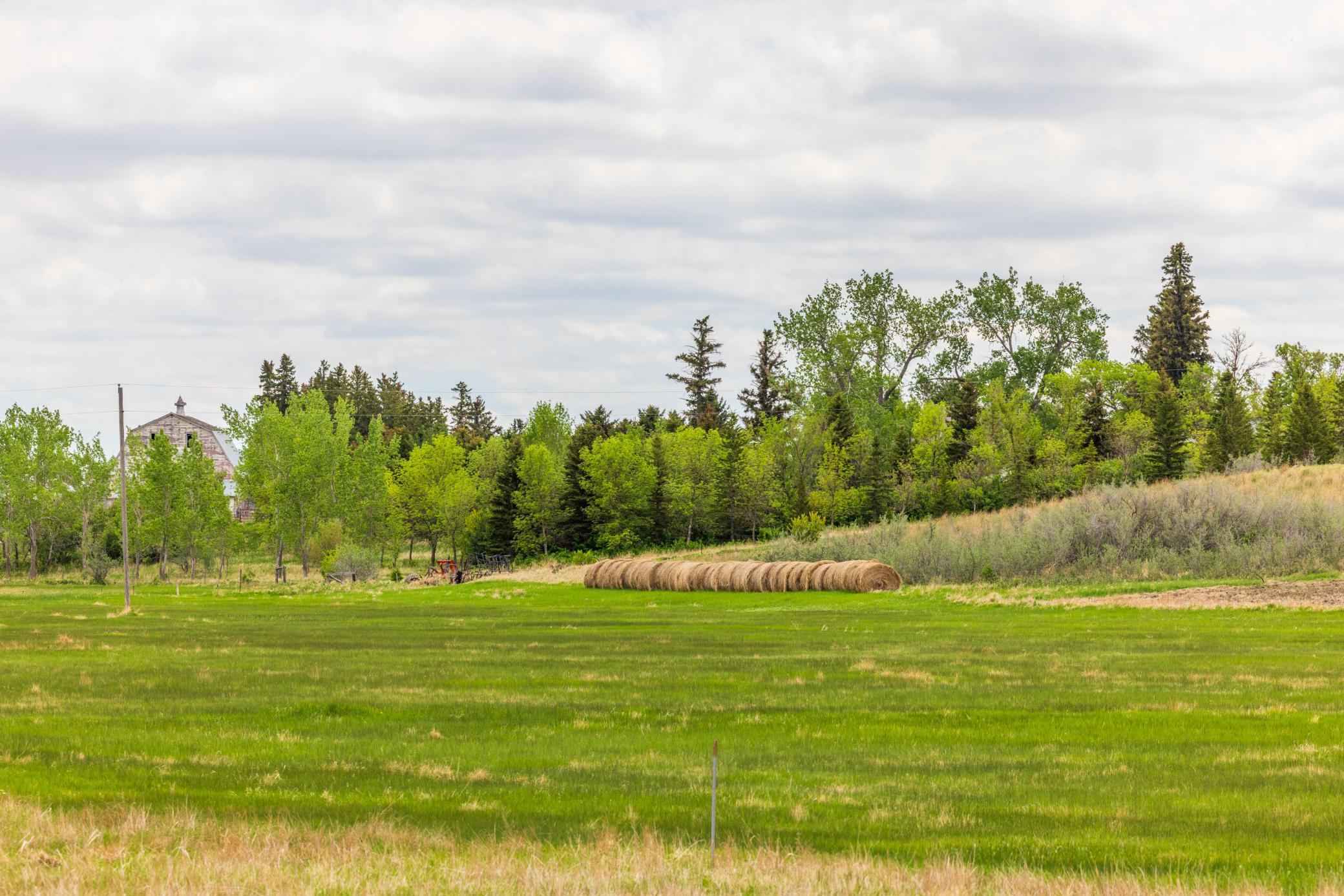 Amdak__Carbury 108+- Acres_0045.jpg
