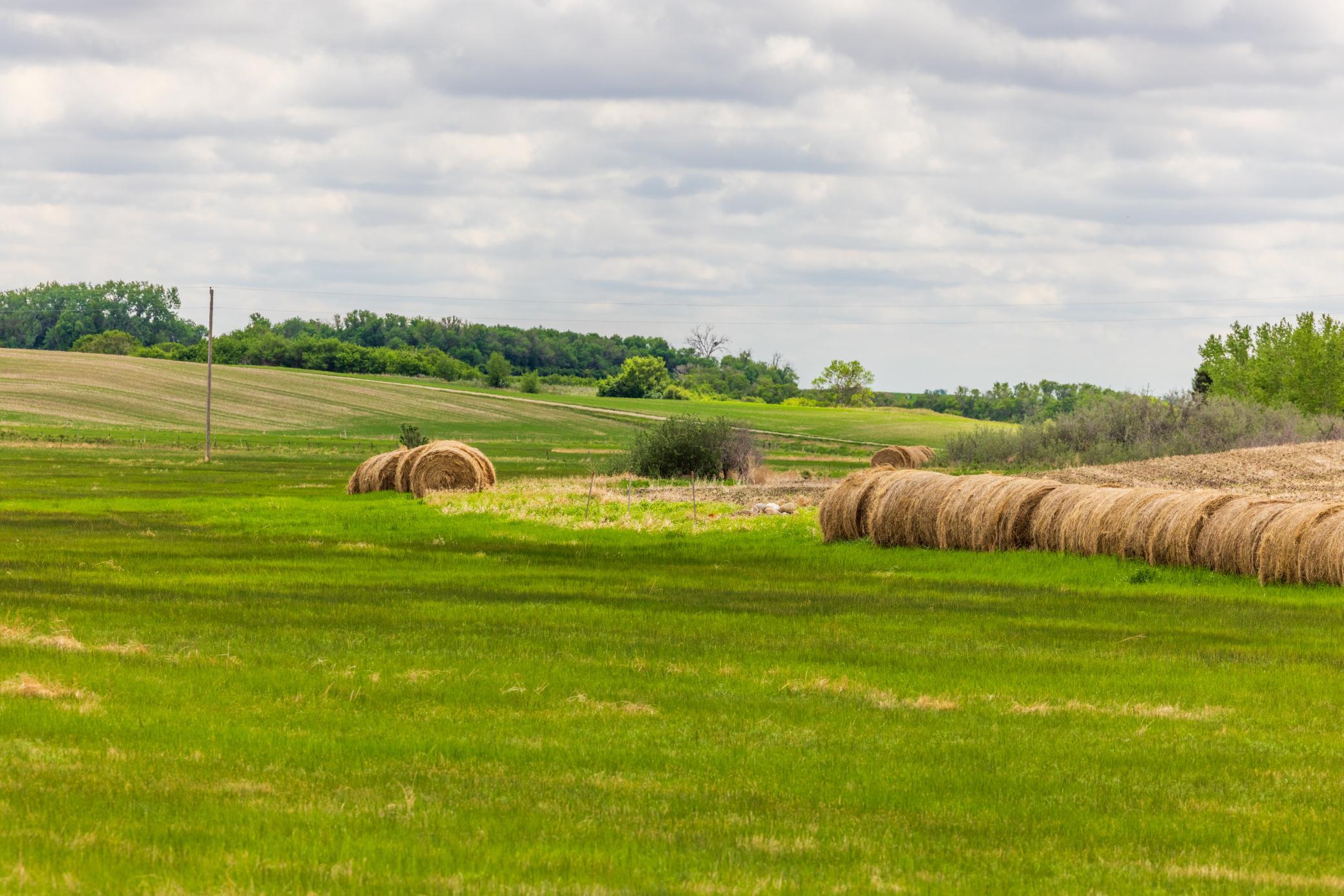 Amdak__Carbury 108+- Acres_0036.jpg