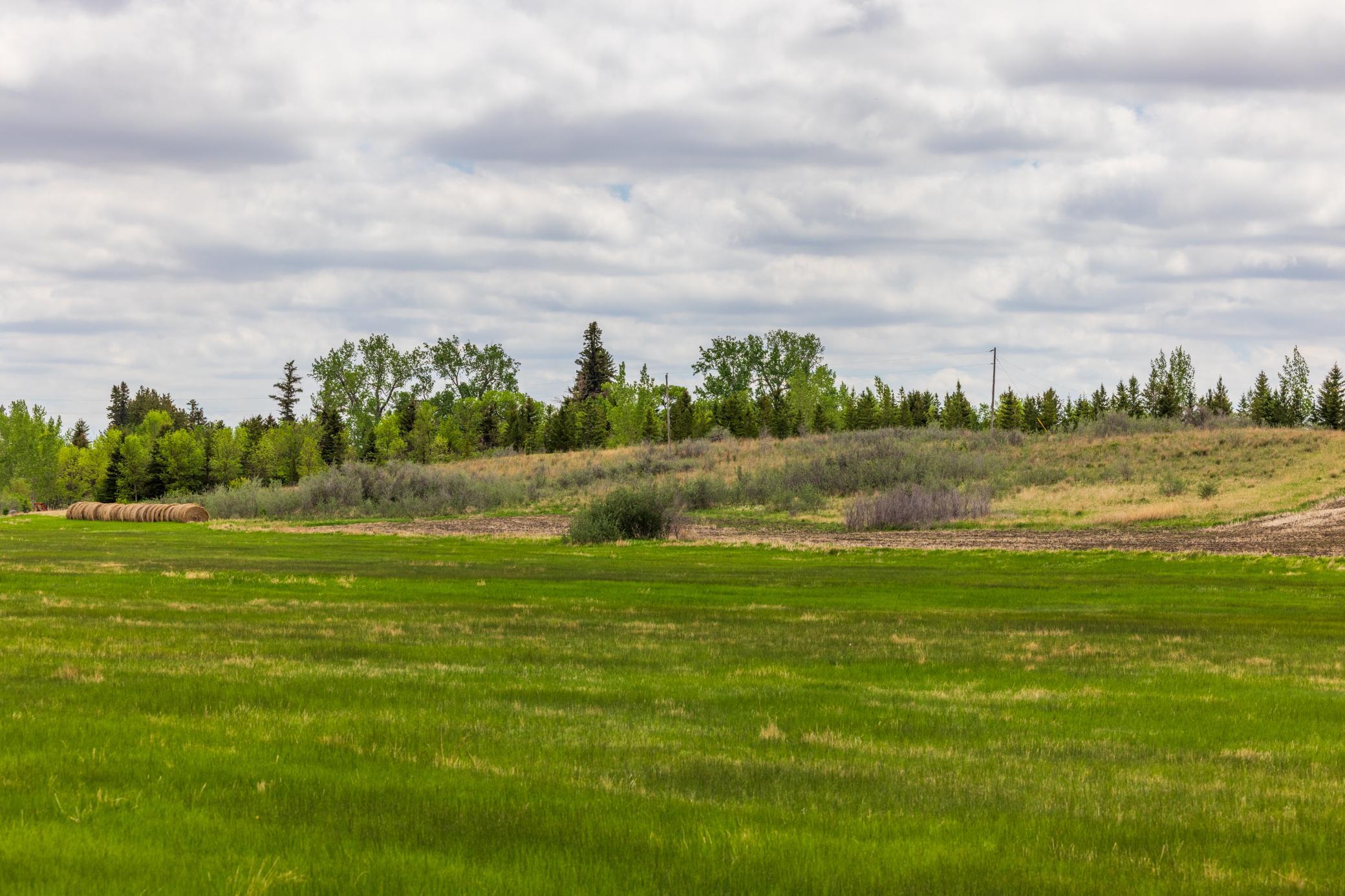 Amdak__Carbury 108+- Acres_0040.jpg