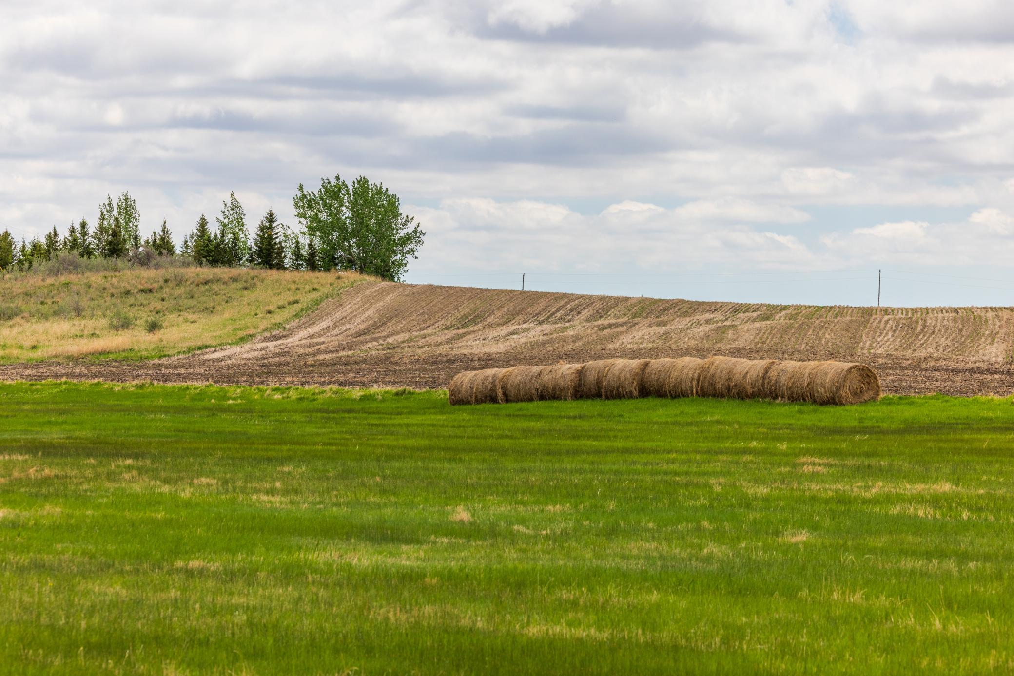 Amdak__Carbury 108+- Acres_0043.jpg