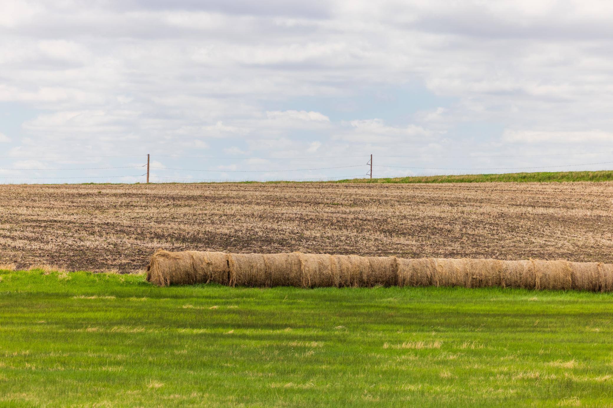 Amdak__Carbury 108+- Acres_0046.jpg