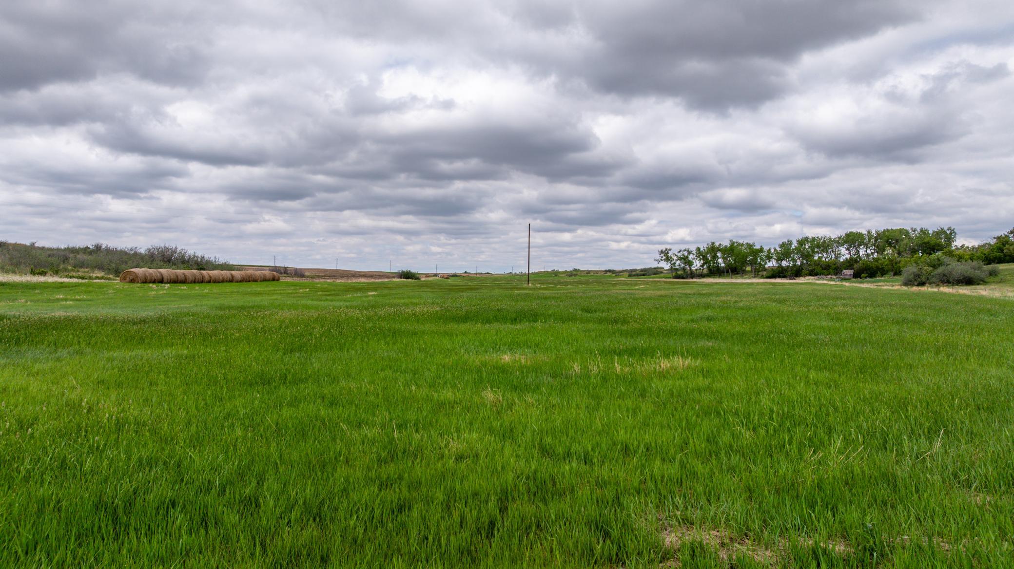 Amdak__Carbury 108+- Acres_0066.jpg