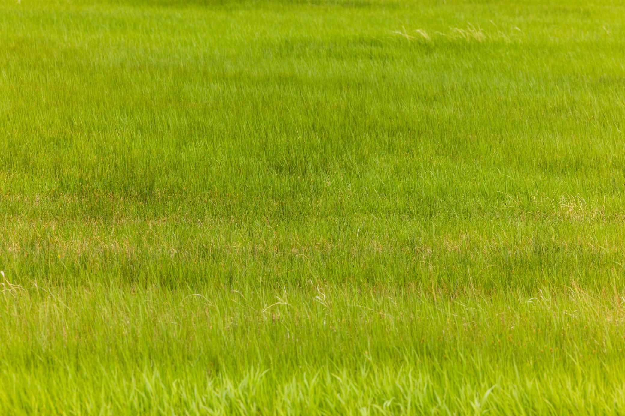 Amdak__Carbury 108+- Acres_0033.jpg