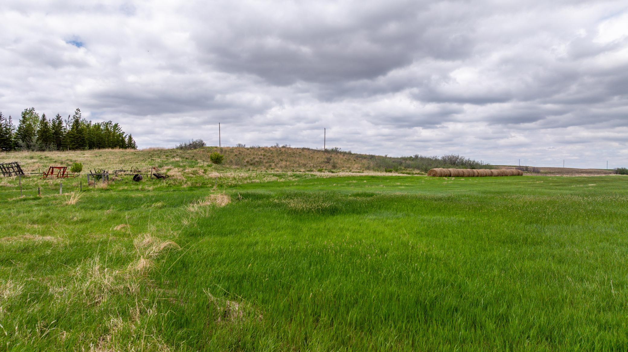 Amdak__Carbury 108+- Acres_0065.jpg
