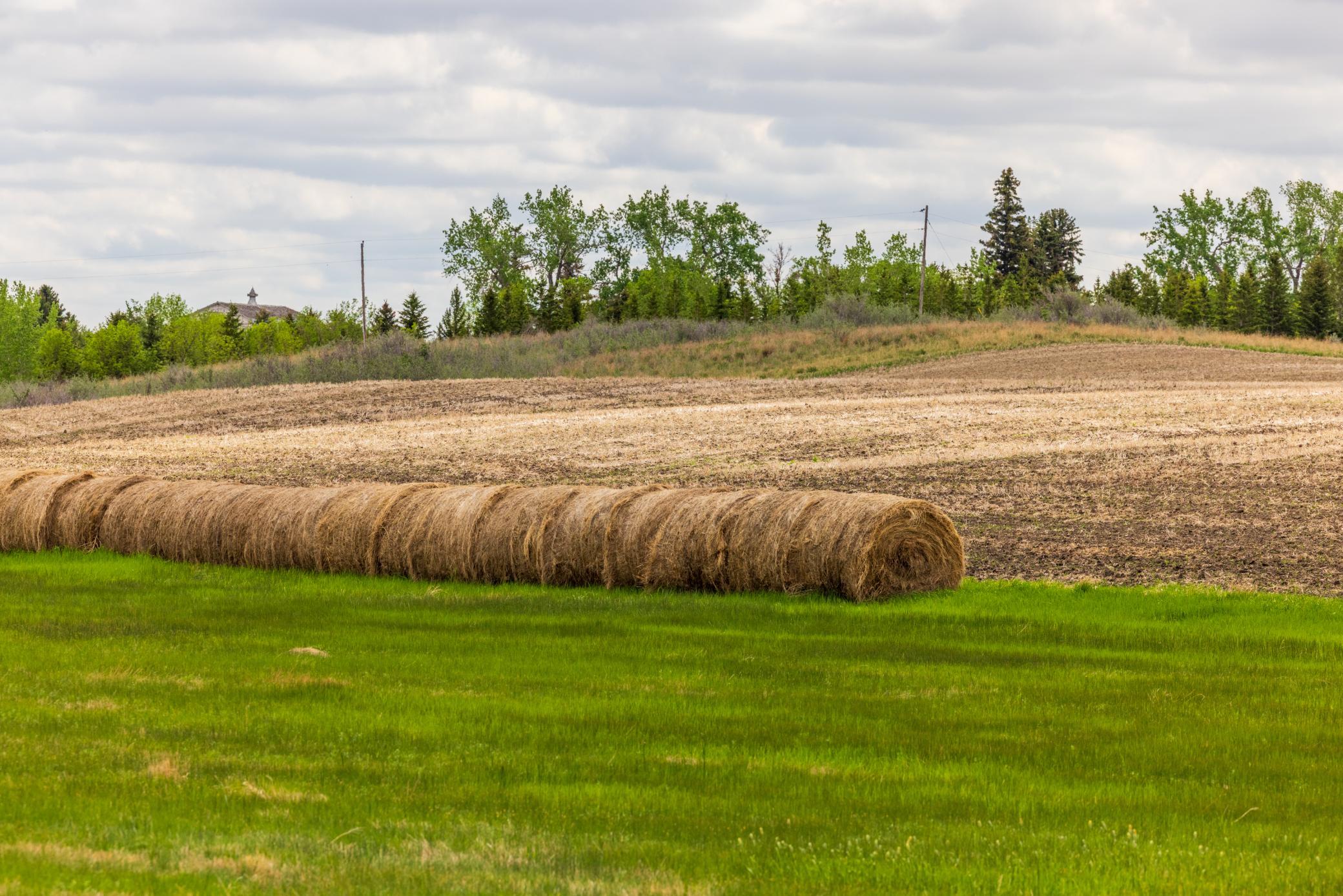 Amdak__Carbury 108+- Acres_0037.jpg
