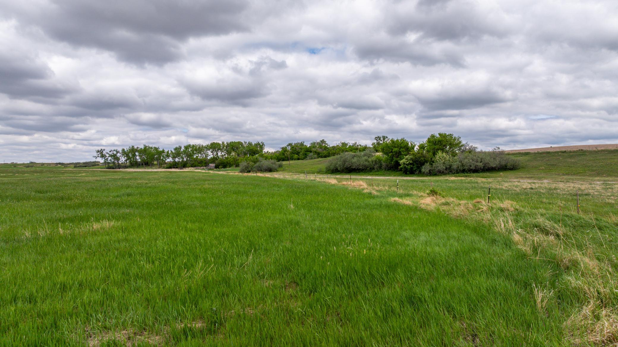Amdak__Carbury 108+- Acres_0067.jpg