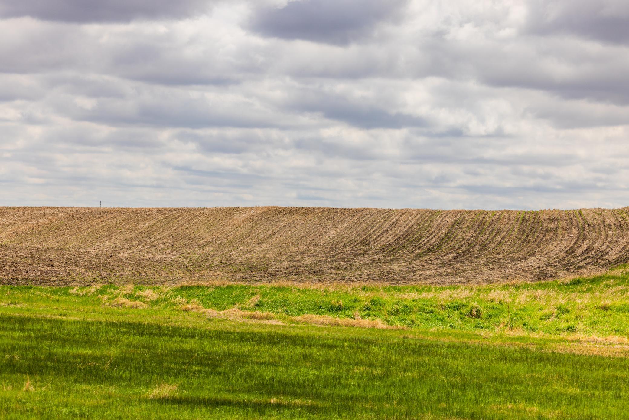 Amdak__Carbury 108+- Acres_0038.jpg