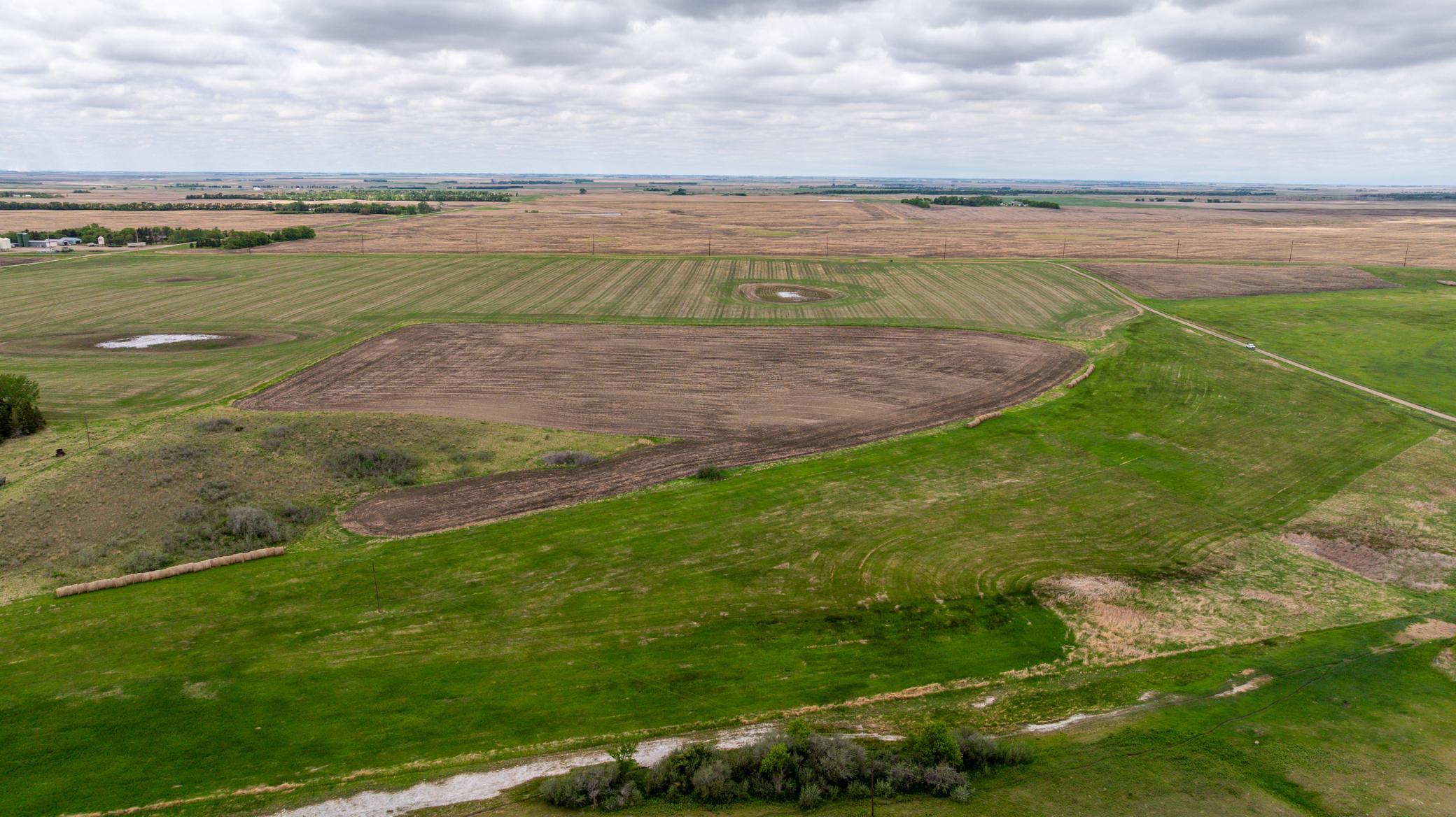 Amdak__Carbury 108+- Acres_0063.jpg