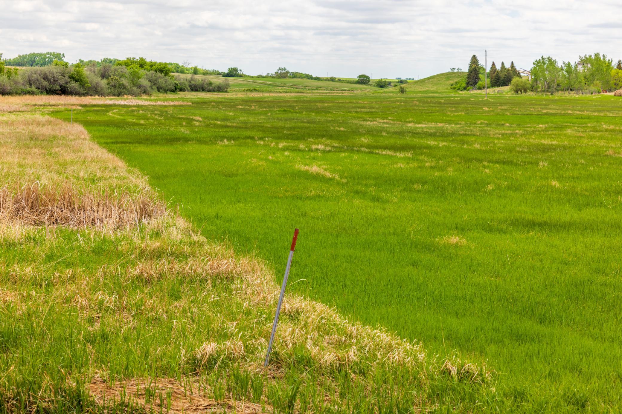 Amdak__Carbury 108+- Acres_0039.jpg