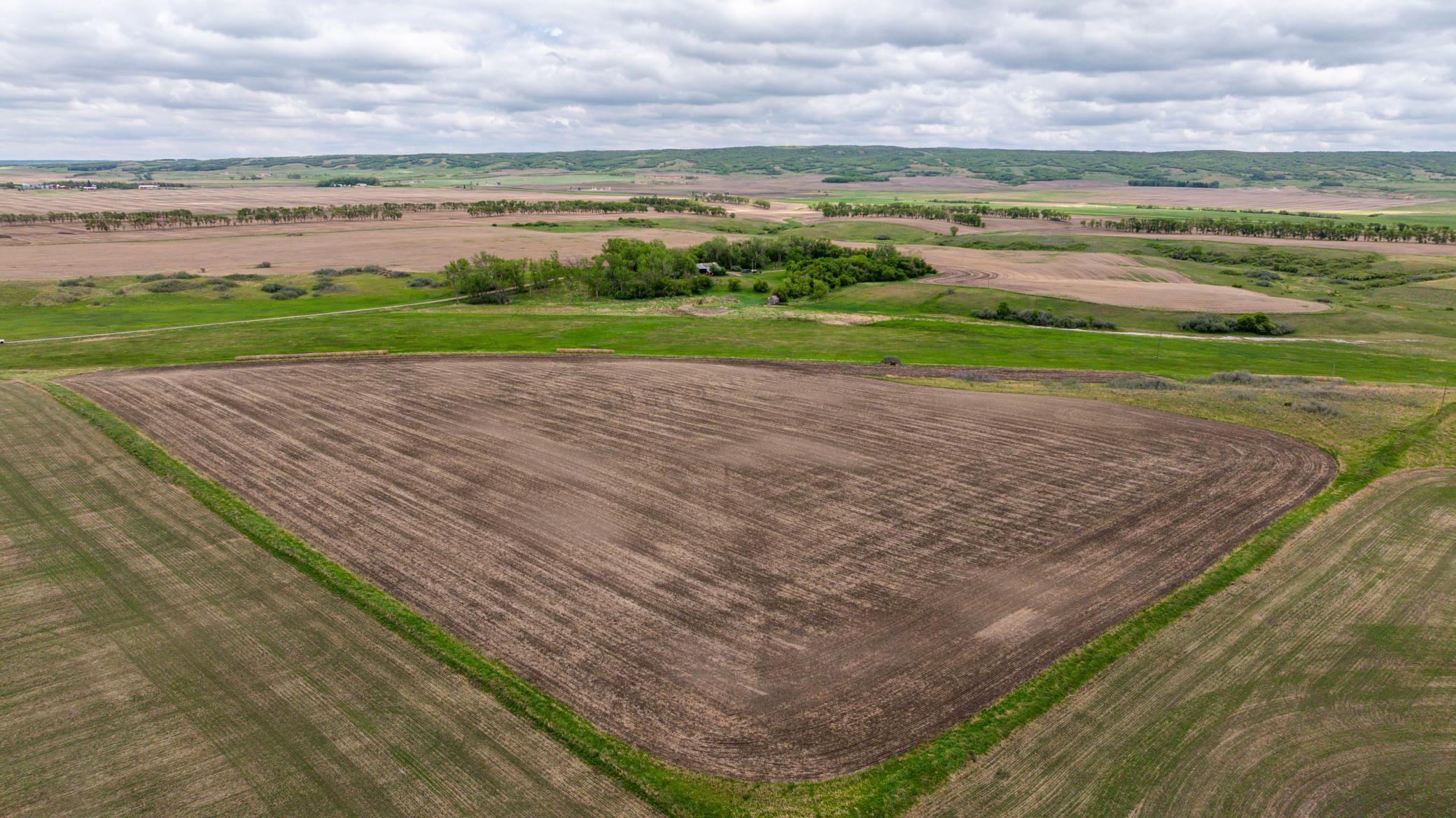 Amdak__Carbury 108+- Acres_0060.jpg