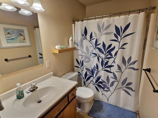 The full bathroom includes the lovely floating shelf that pairs well with the wood tone on the vanity.