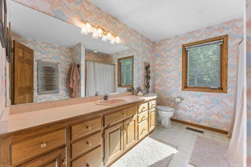 Huge lower level, full bathroom makes 3 in the home.