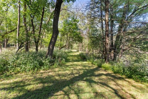 Carve your own walking paths to create your perfect morning walk.