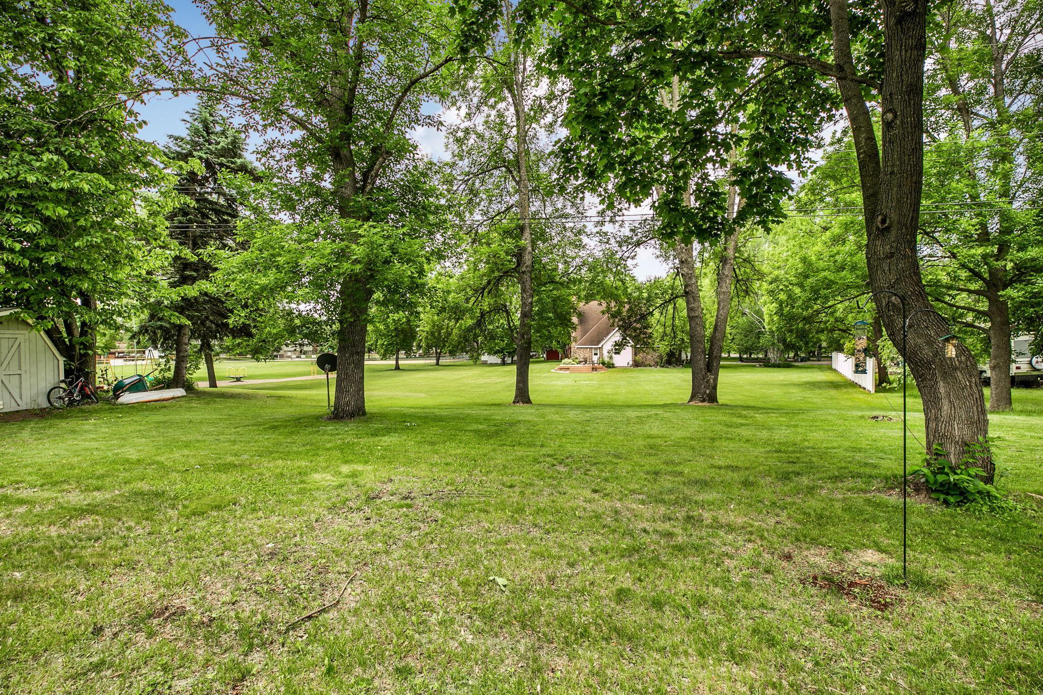 Towering trees create a picturesque backdrop.