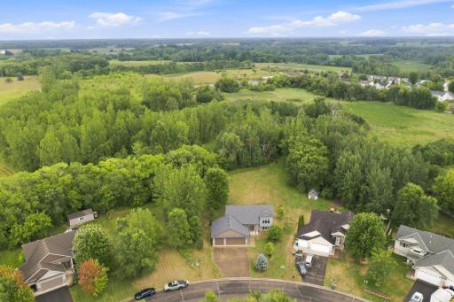 Aerial view highlighting mature trees and privacy